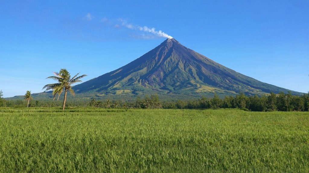 Albay 1 albay